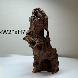 Pu&ograve; includere: Un pezzo di legno galleggiante marrone scuro etichettato #G con dimensioni L3"xW2"xH7". Il legno presenta una consistenza ruvida e usurata con solchi profondi, nodi e un'apertura cava naturale vicino alla cima, posizionato in verticale.