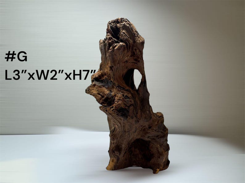 Pu&ograve; includere: Un pezzo di legno galleggiante marrone scuro etichettato #G con dimensioni L3"xW2"xH7". Il legno presenta una consistenza ruvida e usurata con solchi profondi, nodi e un'apertura cava naturale vicino alla cima, posizionato in verticale.