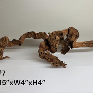 Natural Aquarium Driftwood Branch – Terrarium Reptile Decor #7