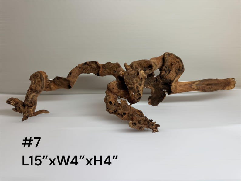 Natural Aquarium Driftwood Branch – Terrarium Reptile Decor #7
