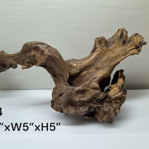 Natural Aquarium Driftwood Branch – Terrarium Reptile Decor #4