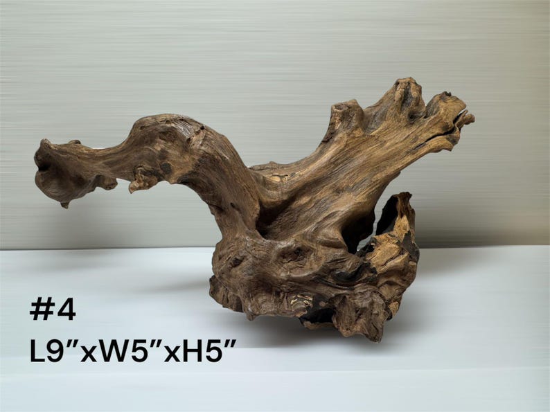 Natural Aquarium Driftwood Branch – Terrarium Reptile Decor #4