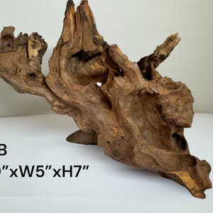 Pu&ograve; includere: Un pezzo di legno galleggiante marrone con una consistenza complessa e nodosa e rami organici intrecciati. Il legno presenta cavit&agrave; e creste naturali in tutta la sua struttura. Il testo indica #B L9"xW5"xH7", ovvero 22,86 cm di lunghezza, 12,7 cm di larghezza e 17,78 cm di altezza.