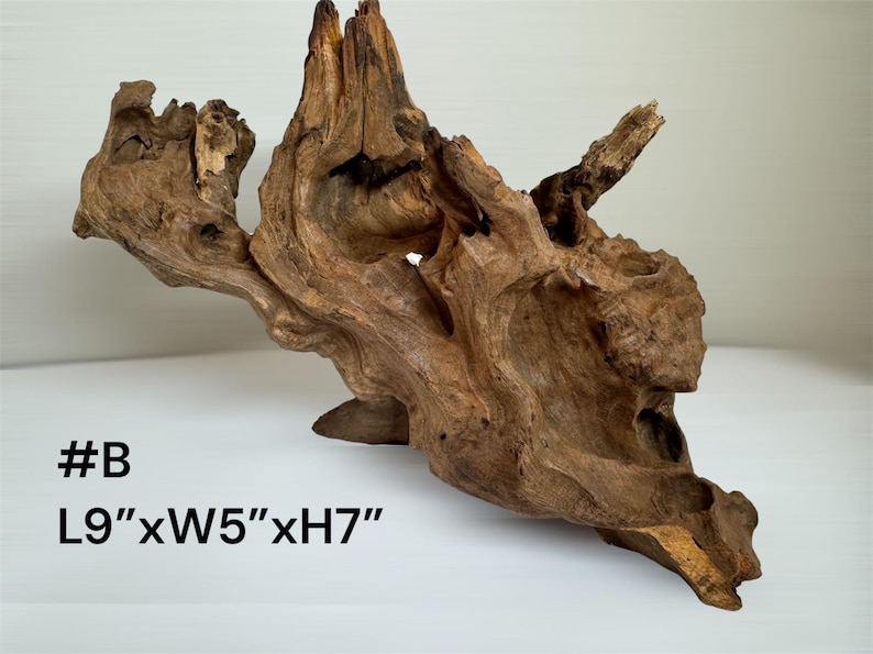 Pu&ograve; includere: Un pezzo di legno galleggiante marrone con una consistenza complessa e nodosa e rami organici intrecciati. Il legno presenta cavit&agrave; e creste naturali in tutta la sua struttura. Il testo indica #B L9"xW5"xH7", ovvero 22,86 cm di lunghezza, 12,7 cm di larghezza e 17,78 cm di altezza.