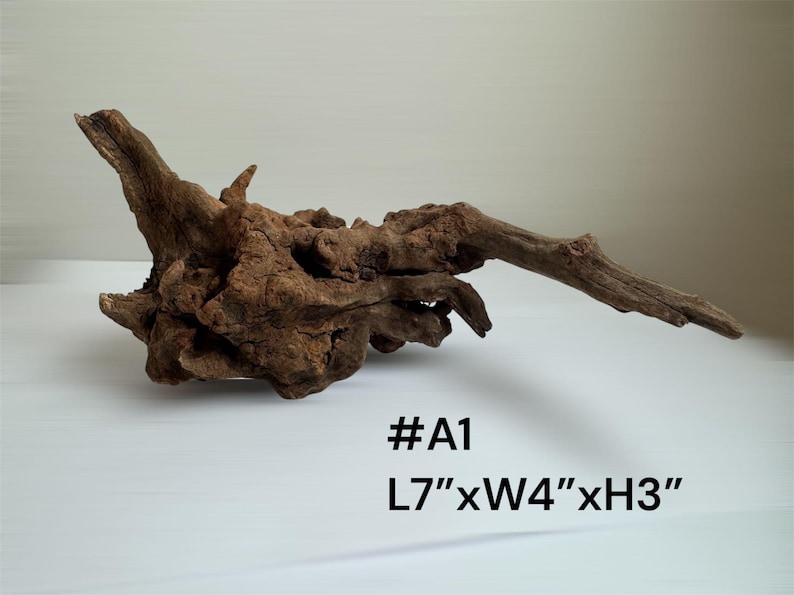 Natural Aquarium Driftwood Branch - Reptile Terrarium Wood Decor #A1