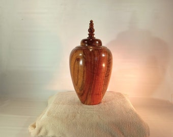 Vaso Carruba/Forma cava 13"H x 6 1/2W