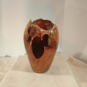 Myrtle Burl Hollow Form/Vase 10H x 6W image 1
