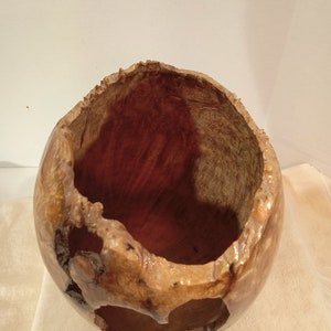 Myrtle Burl Hollow Form/Vase 10H x 6W image 7