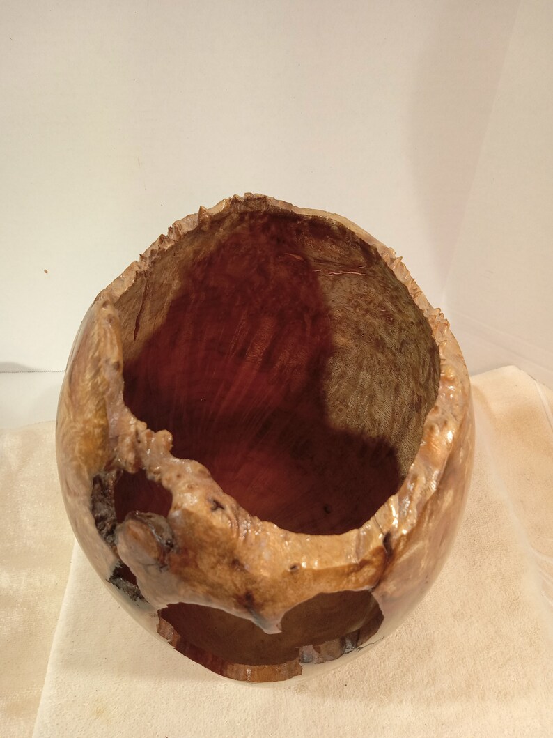 Myrtle Burl Hollow Form/Vase 10H x 6W image 7