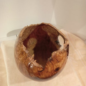 Myrtle Burl Hollow Form/Vase 10H x 6W image 6