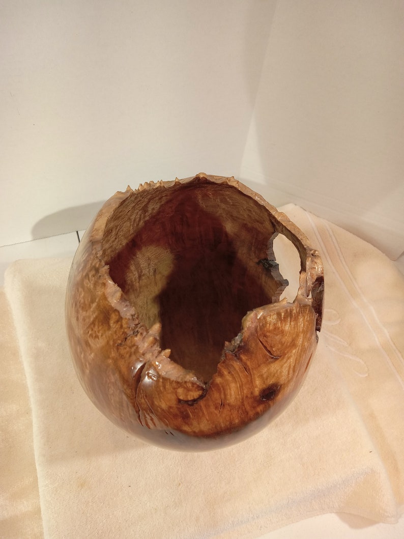 Myrtle Burl Hollow Form/Vase 10H x 6W image 6