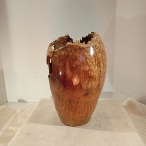 Myrtle Burl Hollow Form/Vase 10H x 6W image 2