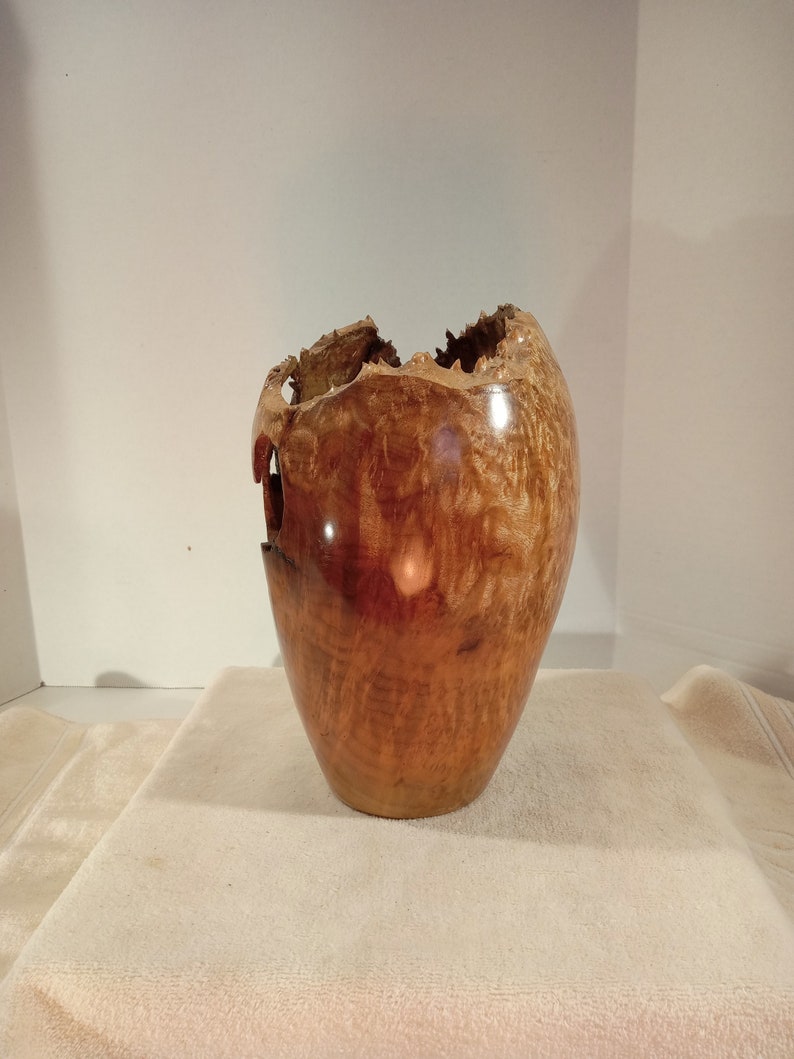 Myrtle Burl Hollow Form/Vase 10H x 6W image 2