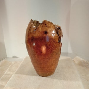 Myrtle Burl Hollow Form/Vase 10H x 6W image 4