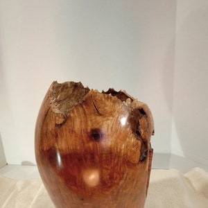 Myrtle Burl Hollow Form/Vase 10H x 6W image 5