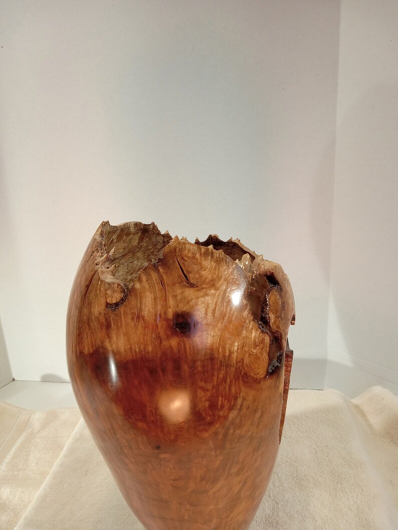 Myrtle Burl Hollow Form/Vase 10H x 6W image 5