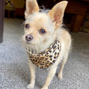 Leopard Print Dog Bandana