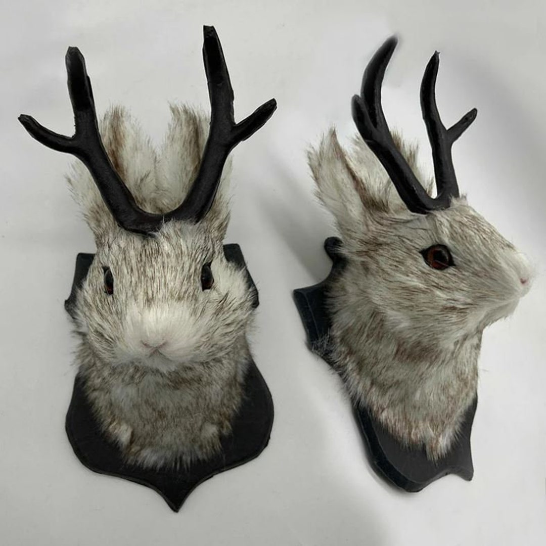 Antlers Rabbit Head Statue Taxidermy Jackalope Home Decoration 3D