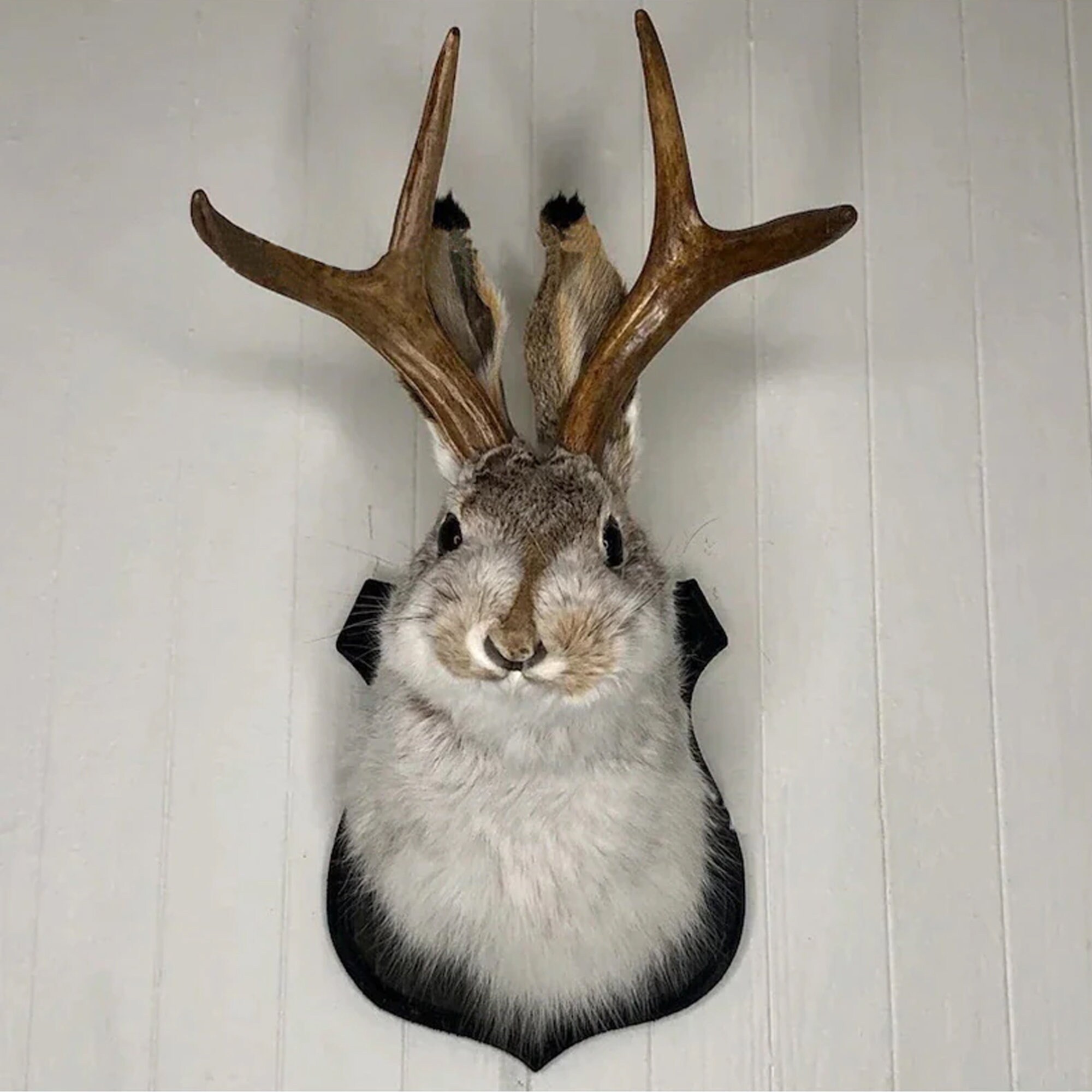 Antlers Rabbit Head Statue Home Decoration 3D Abstract Etsy