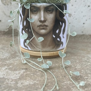 May include: A white ceramic planter featuring a detailed illustration of a woman's face with snakes for hair. The planter holds a trailing plant with small, round, silvery-green leaves. The planter sits on a round, light-colored wooden base.