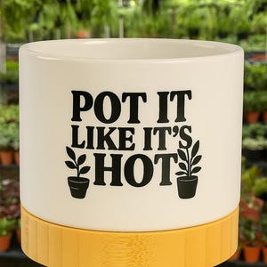 May include: White ceramic plant pot with the phrase "POT IT LIKE IT'S HOT" in black lettering. The pot has a bamboo-colored base and two small plant illustrations. Ideal for indoor or outdoor plants.