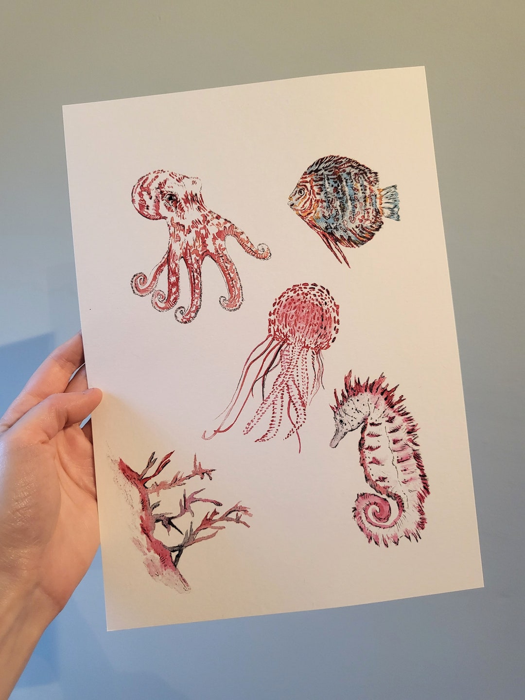Sealife Watercolour Print A4 Size Nature Print - Etsy