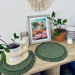 以下が含まれることがあります： フリンジ付きの緑色の丸い編み物コースター2枚、緑色の植物が入った白いセラミックのナマケモノのプランター、熱帯のプリントが入った銀色の写真フレーム、ガラスの瓶、テラコッタ製の鉢植えの植物。