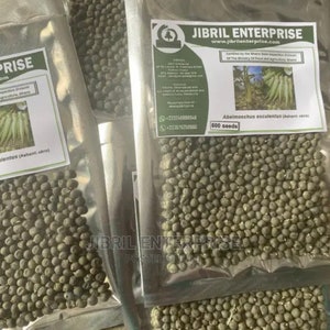 Ashanti okro Abelmoschus esculentus, non hybrid, 200 seeds for 11 USD, shipping cost is 10 USD, Phyto certificate cost is 12 USD zdjęcie 2