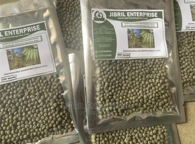 Ashanti okro Abelmoschus esculentus, non hybrid, 200 seeds for 11 USD, shipping cost is 10 USD, Phyto certificate cost is 12 USD zdjęcie 2