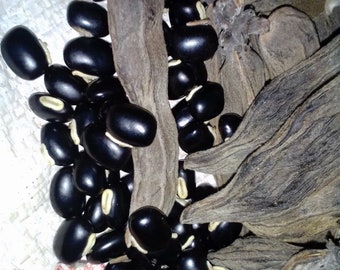 African black velvet  beans (Black mucuna pruriens), High yielding mucuna, 200g/USD, shipping cost is 10 USD, Phyto certificate is 12 USD.