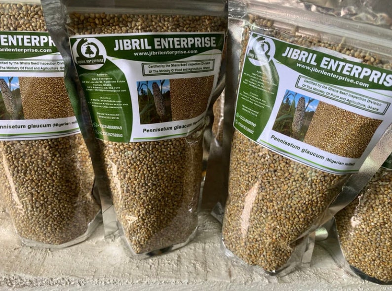 Nigerian Brown Millet Seeds Non Hybrid 200g for 11 USD Etsy