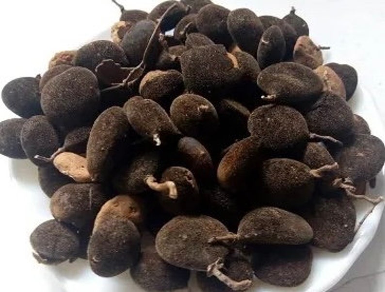 Black velvet tamarind, Yooyi, Dialium guineensis, organic fruits, 200g/10 USD, shipping/10 USD, phyto certificate 12 USD image 4