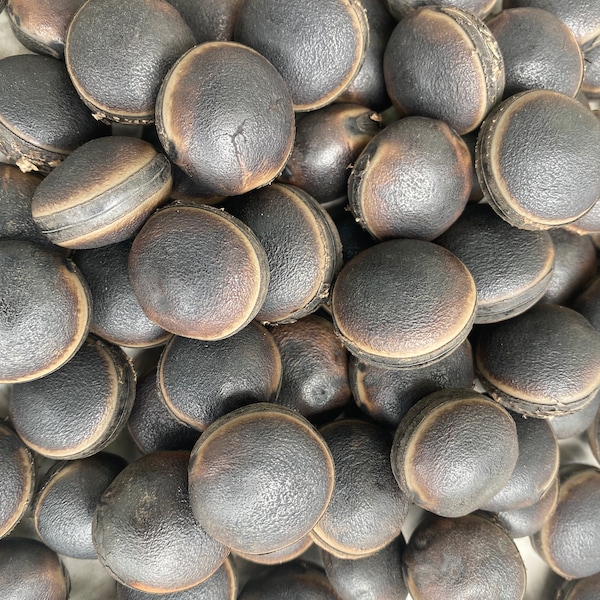 Graines d'oeil de taureau (Mucuna sloanei), 10 graines/8 USD, les frais de port sont de 10 USD, certificat phyto 12 Usd