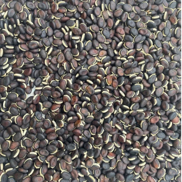 Blackish hyacinth beans,(Lablab purpureus), 100 seeds/10 USD, shipping cost 10 USD, phyto certificate 12 USD