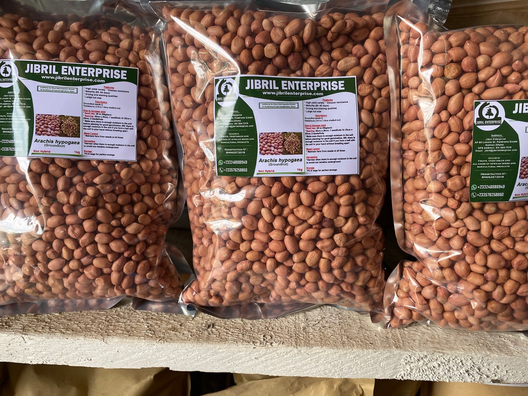Ghanaian Groundnut Seedsarachis Hypogaea , Non Hybrid, High Yielding