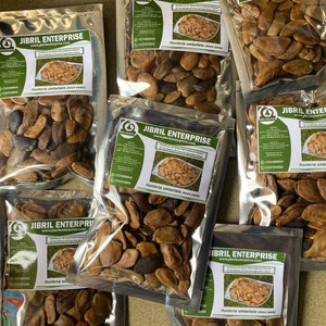 Abere Seeds And Capsule Hunteria Umbellata In Ojo - Food & Beverages, Adeoye Omolara - Foto 8