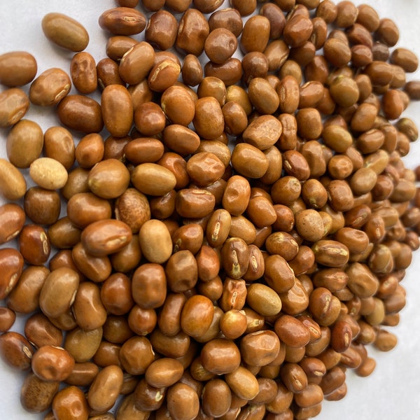 African Yam Seeds Etsy