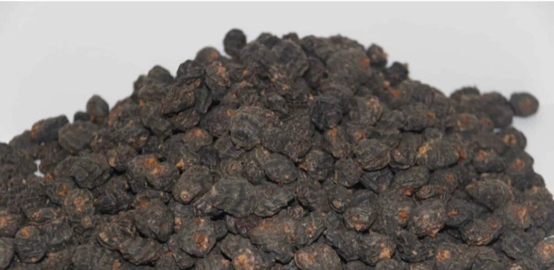 Cyperus Esculentus, Dried Ghanaian Black Tiger Nuts Seeds for Planting