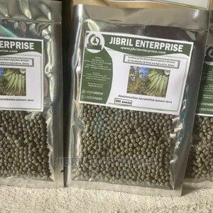 Ashanti okro Abelmoschus esculentus, non hybrid, 200 seeds for 11 USD, shipping cost is 10 USD, Phyto certificate cost is 12 USD zdjęcie 5