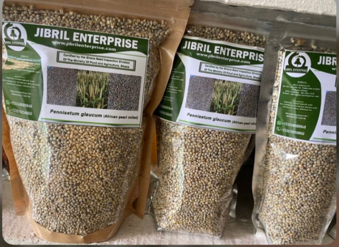 Ghanaian Pearl Millet Seeds, Non Hybrid, 200g for 11 USD, Shipping Cost