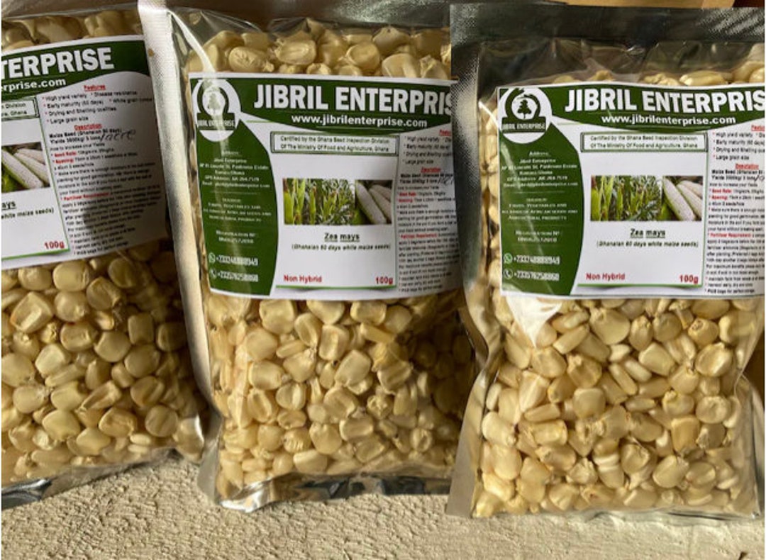 60 Days Ghanaian Maize Seedszea Mays, Non Hybrid, Early Maturity, 200g/7 USD, Shipping Cost 10