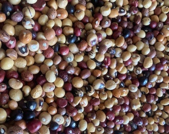 20 in 1 Ghanaian multicolored  bambara beans, (Vigna subterranea) 200g for 8 USD, shipping cost is 10 USD, Phyto certificate cost is 12 USD