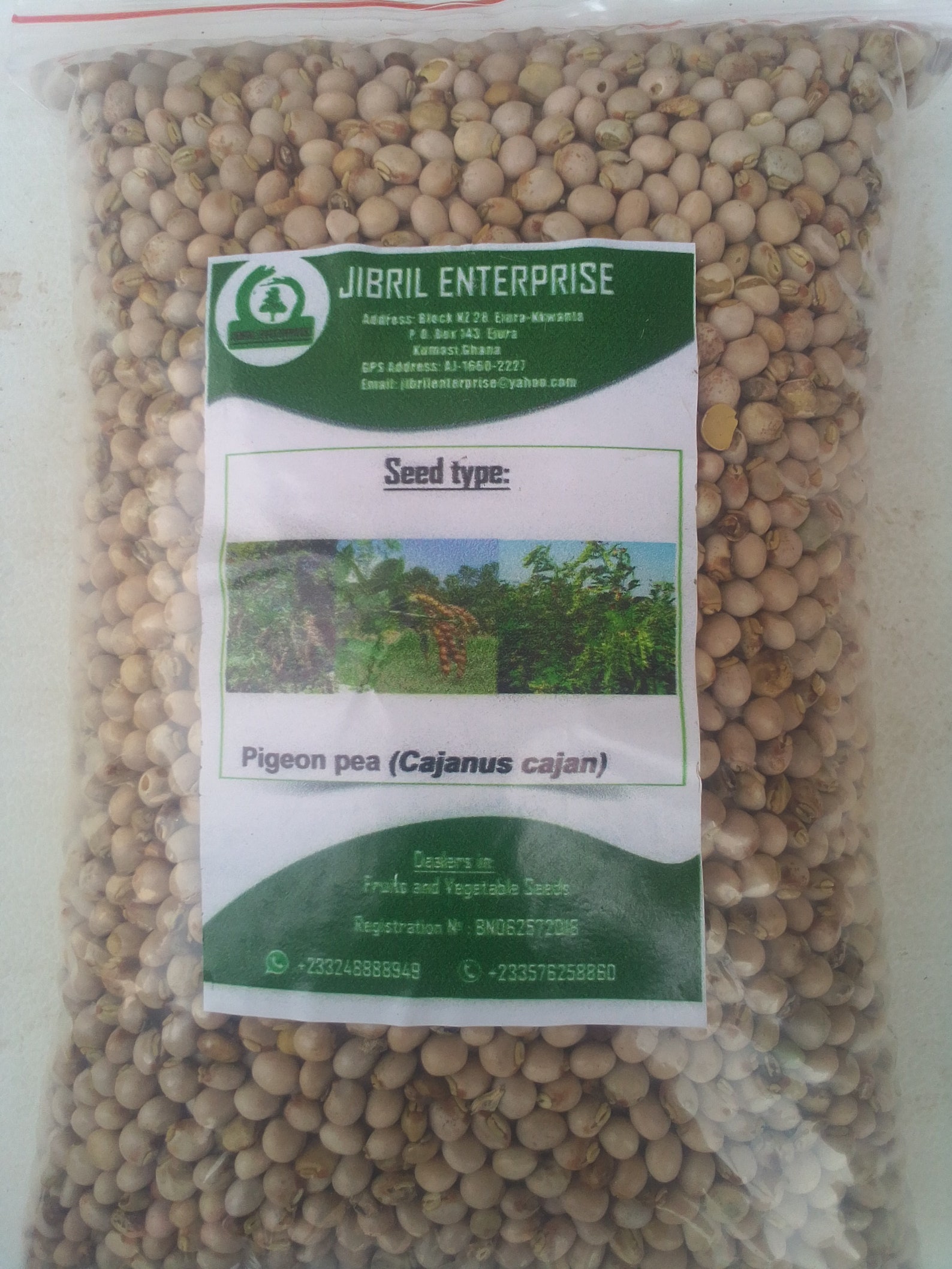 Pigeon pea cajanus cajan seeds for sale 100g/11 USD Etsy