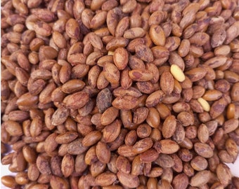 Synsepalum dulcificum(Miracle fruit seeds), dried seeds for oil, medicinal, 200g for 11 USD, shipping cost 10 USD, phyto certificate 12 USD