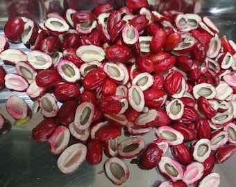 Synsepalum dulcificum(kernlose Wunderbeeren), 25 Hälften oder kernlose Beeren /6 USD, Versand 10 USD, Phyto-Zertifikat 12 USD