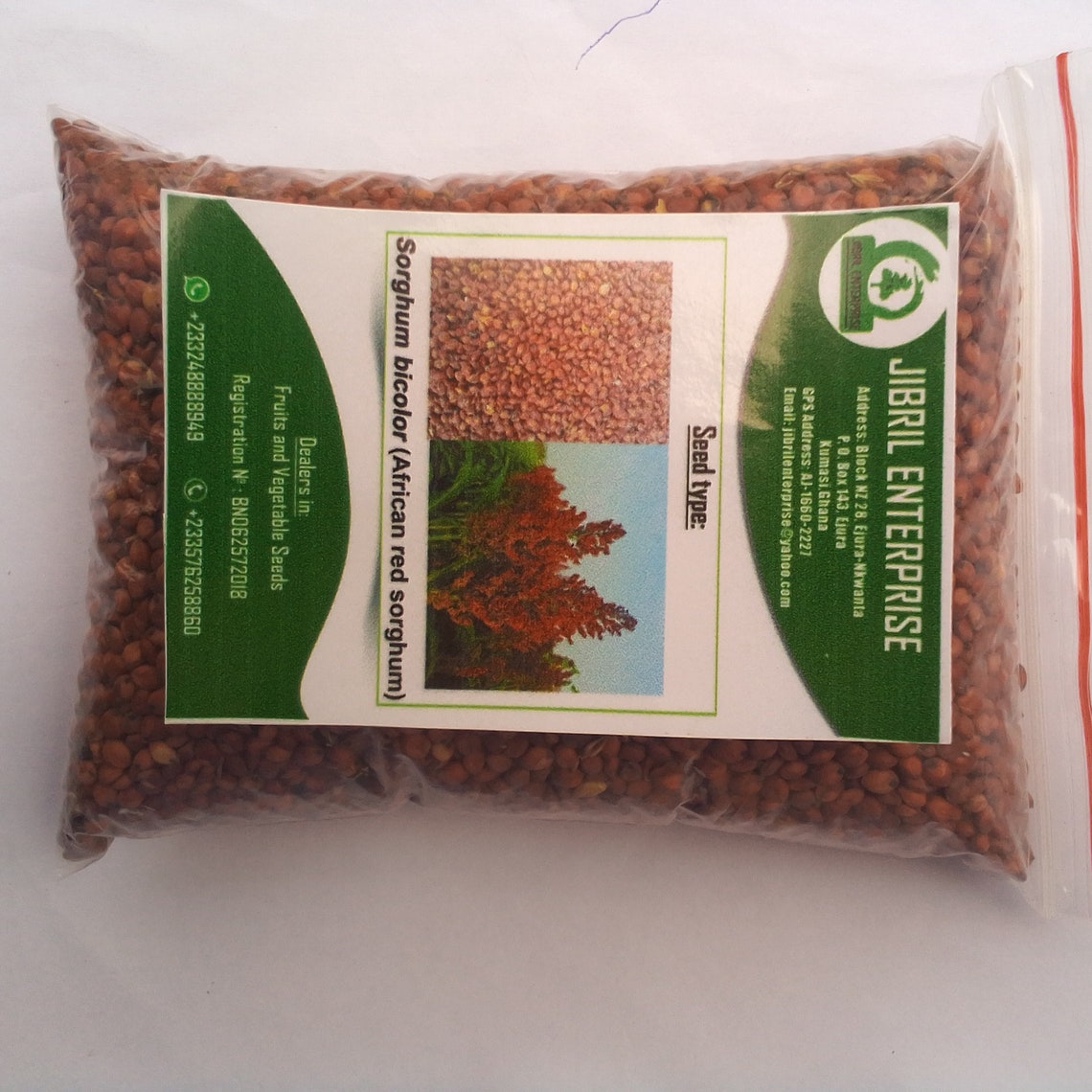 Red African Seeds Bicolor 200g for 11 USD Etsy