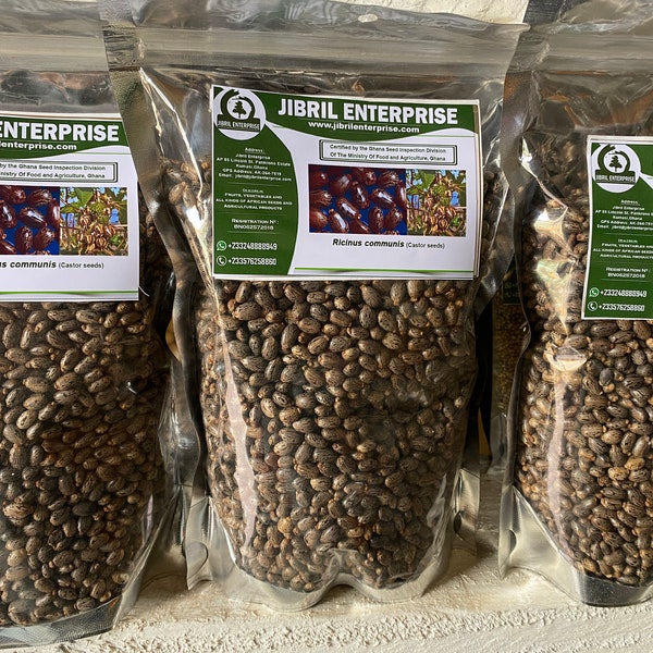 Castor beans (Ricinus communis), 200g/10 USD, shipping cost/10 USD, phyto certificate cost is 12 USD