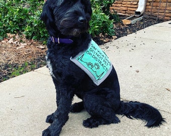 personalized therapy dog vest