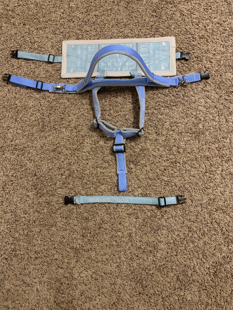 Custom Service Dog Gear Set Etsy