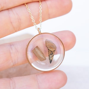 Shark Tooth or Fossil Jewelry | Custom (made to order) resin necklaces for memorial jewelry | unique gifts